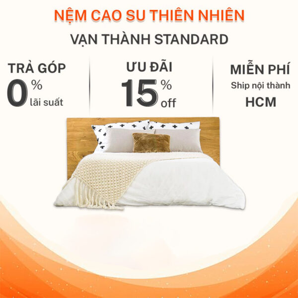 NỆm Cao Su ThiÊn NhiÊn VẠn ThÀnh Standard 1.0m DÀy 10cm